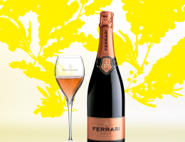 Immagine 1 di TRENTO D.O.C. FERRARI ROSE' PERLE' RISERVA METODO CLASSICO FERRARI TRENTO VIGNA E VINI