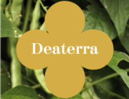 Immagine 2 di ASPARAGI SELVATICI