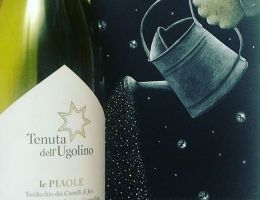 Immagine 1 di VERDICCHIO DEI CASTELLI DI JESI D.O.C. CLASSICO LE PIAOLE