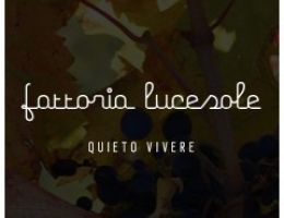 Immagine 2 di OLIO EXTRAVERGINE DI OLIVA CULTIVAR MIGNOLA QUALITA' SUPERIORE