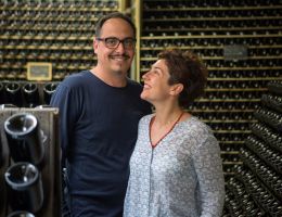 Immagine 3 di VERDICCHIO DEI CASTELLI DI JESI METODO CLASSICO BRUT NATURE APOLLONIA