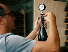 Immagine 4 di VERDICCHIO DEI CASTELLI DI JESI METODO CLASSICO BRUT NATURE APOLLONIA