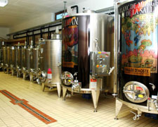 Immagine 2 di VALLE D'AOSTE BLANC DE MORGEX ET DE LA SALLE D.O.P VITIVINICOLA PAVESE ERMES