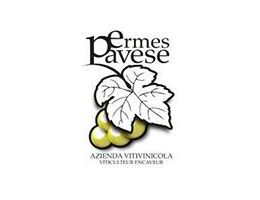 Immagine 4 di VALLE D'AOSTE BLANC DE MORGEX ET DE LA SALLE D.O.P VITIVINICOLA PAVESE ERMES