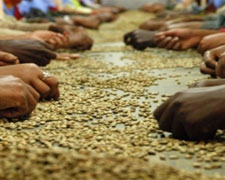 Immagine 1 di MISCELA  ARABICA 100% INTENSA TORREFAZIONE ARTIGIANALE LA MODERNISSIMA