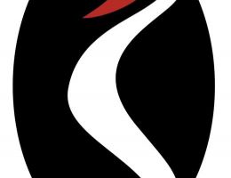 Immagine 1 di MISCELA BAR 100% ARABICA