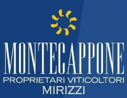 Immagine 1 di VERDICCHIO DEI CASTELLI DI JESI D.O.C. CLASSICO SUPERIORE FEDERICO II A.D.1194