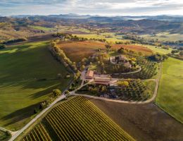 Immagine 5 di VERDICCHIO DEI CASTELLI DI JESI CLASSICO RISERVA D.O.C.G. MISCO