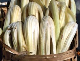 Immagine 1 di CARDO GOBBO DI NIZZA AGRI VISCONTI