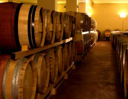 Immagine 2 di MARCHE MONTEPULCIANO I.G.T. ERASMO CASTELLI