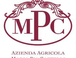 Immagine 5 di MARCHE MONTEPULCIANO I.G.T. ERASMO CASTELLI