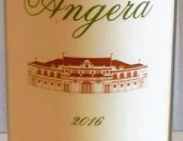 Immagine 3 di COLLI MACERATESI BIANCO RIBONA D.O.C. ANGERA