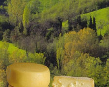 Immagine 1 di PECORINO DEI MONTI SIBILLINI