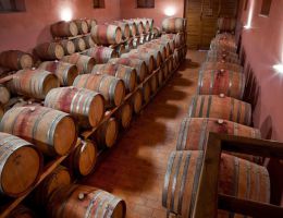 Immagine 3 di MARCHE ROSSO I.G.T. CAMERTE