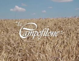 Immagine 4 di MACCHERONCINO DI CAMPOFILONE I.G.P.