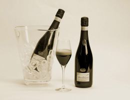 Immagine 1 di VERNACCIA DI SERRAPETRONA D.O.C.G. SECCO