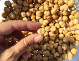 Immagine 3 di TORRONE DEL PIEMONTE ANTICA TORRONERIA PIEMONTESE 1885