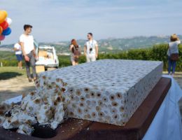 Immagine 1 di TORRONE DEL PIEMONTE ANTICA TORRONERIA PIEMONTESE 1885