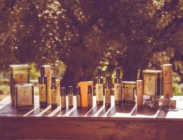 Immagine 5 di OLIO EXTRAVERGINE DI OLIVA CULTIVAR PISCIOTTANA DEL CILENTO CATEGORIA SUPERIORE