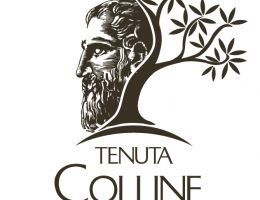 Immagine 4 di OLIO EXTRAVERGINE DI OLIVA CULTIVAR PISCIOTTANA DEL CILENTO CATEGORIA SUPERIORE