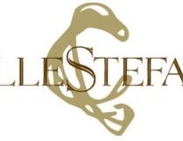 Immagine 5 di VERDICCHIO DI MATELICA D.O.C. COLLESTEFANO