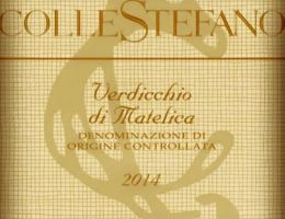 Immagine 1 di VERDICCHIO DI MATELICA D.O.C. COLLESTEFANO