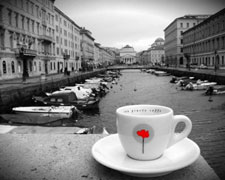 Immagine 1 di MISCELA BLU ALTA QUALITA'