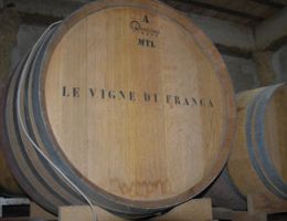 Immagine 2 di MARCHE MONTEPULCIANO I.G.T. CRIMSON