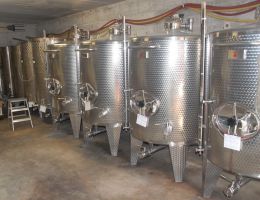 Immagine 4 di MARCHE MONTEPULCIANO I.G.T. CRIMSON