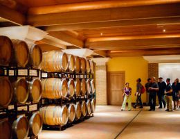 Immagine 4 di MARCHE CABERNET SAUVIGNON I.G.T. AKRONTE