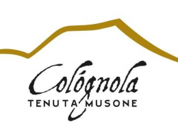 Immagine 2 di VERDICCHIO DEI CASTELLI DI JESI D.O.C. SPUMANTE BRUT DARINI