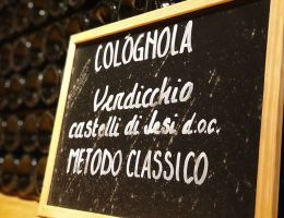 Immagine 3 di VERDICCHIO DEI CASTELLI DI JESI D.O.C. SPUMANTE BRUT DARINI