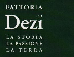 Immagine 2 di MARCHE MONTEPULCIANO I.G.T. REGINA DEL BOSCO