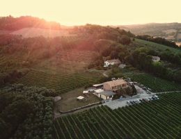 Immagine 2 di COLLI PESARESI D.O.C. SANGIOVESE RISERVA TIMÒTEO