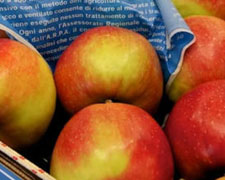 Immagine 1 di Martin Sec