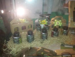 Immagine 2 di OLIO EXTRAVERGINE DI OLIVA CULTIVAR TENERA ASCOLANA QUALITA' SUPERIORE