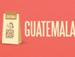 Immagine 1 di AROMA GRANATA