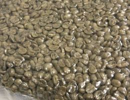 Immagine 3 di CAFFE' EL SALVADOR PROGETTO SPERIMENTALE IN GRANI DI ALTA QUALITA'