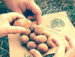 Immagine 4 di OLIVA ASCOLANA TENERA D.O.P.