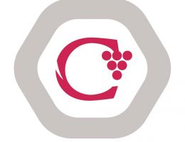 Immagine 4 di PASSERINA SPUMANTE D.O.C.METODO CLASSICO TERRE DI OFFIDA