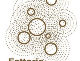 Immagine 1 di PERGOLA ALEATICO SUPERIORE D.O.C. GRIFOGLIETTO