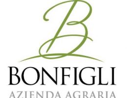 Immagine 5 di OLIO EXTRAVERGINE DI OLIVA CULTIVAR PIANTONE DI FALERONE DI CATEGORIA SUPERIORE