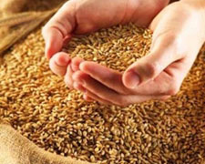 Immagine 1 di FARINE DI GRAN VARIETA' ANTICHE BIO LA CASCINA DEI CONTI