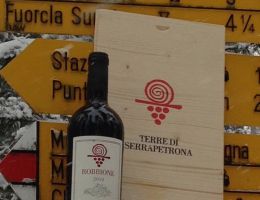 Immagine 2 di VERNACCIA NERA DI SERRAPETRONA D.O.C. ROBBIONE
