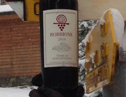 Immagine 1 di VERNACCIA NERA DI SERRAPETRONA D.O.C. ROBBIONE