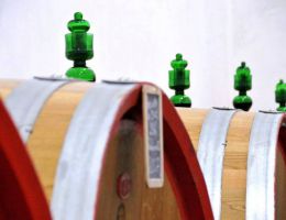 Immagine 4 di VERNACCIA NERA DI SERRAPETRONA D.O.C. ROBBIONE