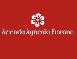 Immagine 5 di OLIO EXTRAVERGINE DI OLIVA BIO BLEND DI QUALITA' SUPERIORE ORGILLA