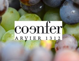 Immagine 3 di ENFER CLASSICO PETIT ROUGE D.O.C. CO-ENFER