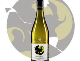 Immagine 1 di VERDICCHIO DEI CASTELLI DI JESI D.O.C. SUPRINO