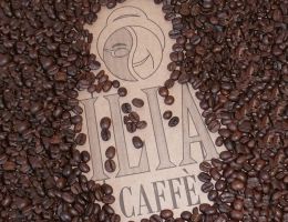 Immagine 1 di CAFFE' FARAFIJI 100% ARABICA NICARAGUA CRU